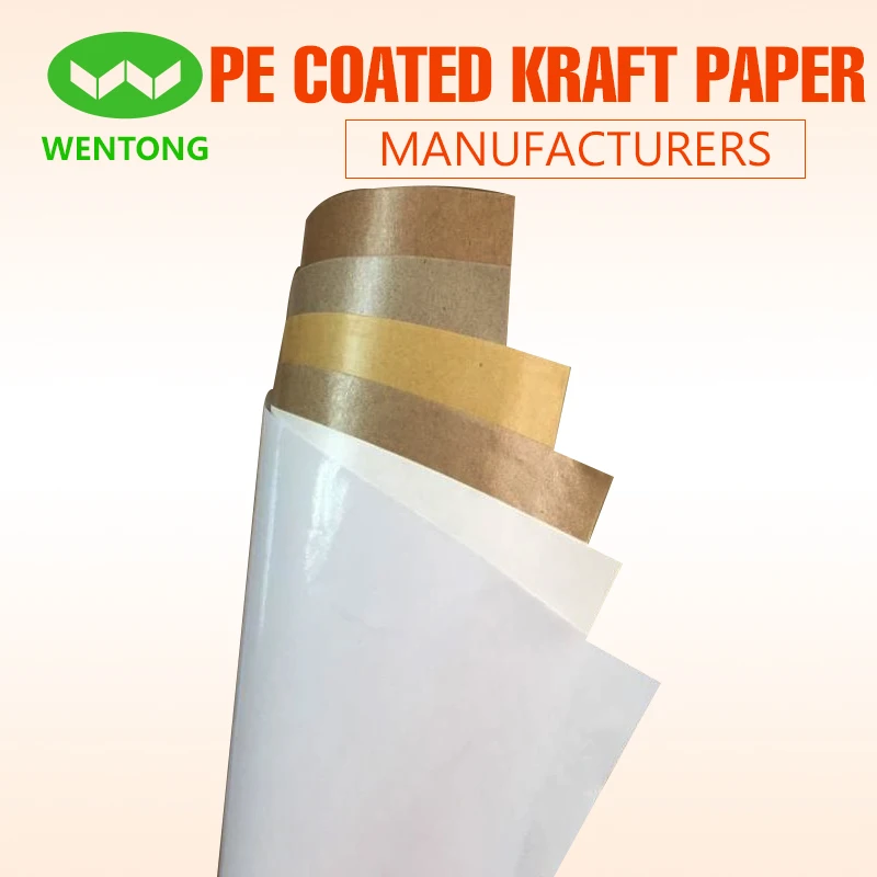 
Food packaging use water resistant kraft pe coated paper roll price cheap 