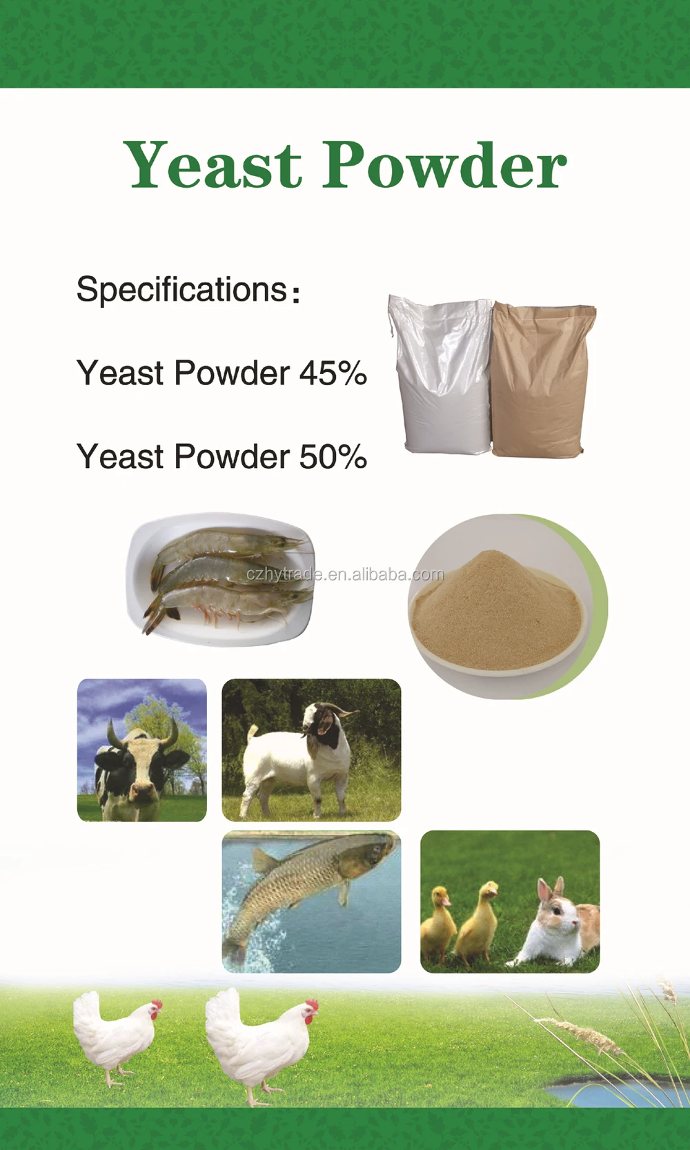 Chinese supplier yeast powder animal feed additives best price high quality