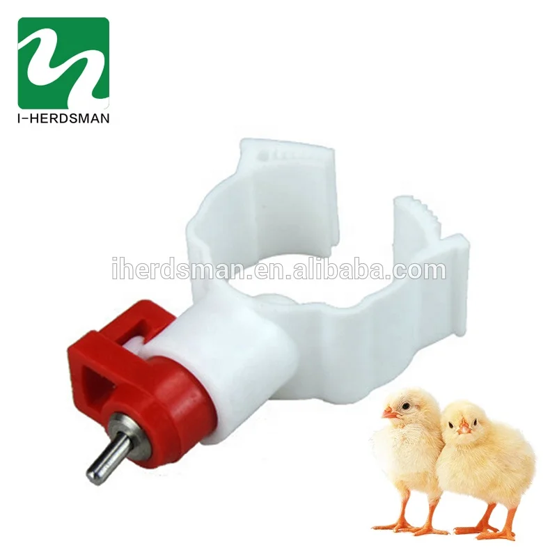 Заводская цена поилка для цыплят и бройлеров верного слоя водный инструмент автоматическая птицы распродажа
