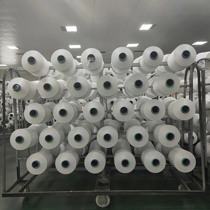 for Rashell or Wrap Yarn 50D 24F SD Polyamide 6 DTY Yarn