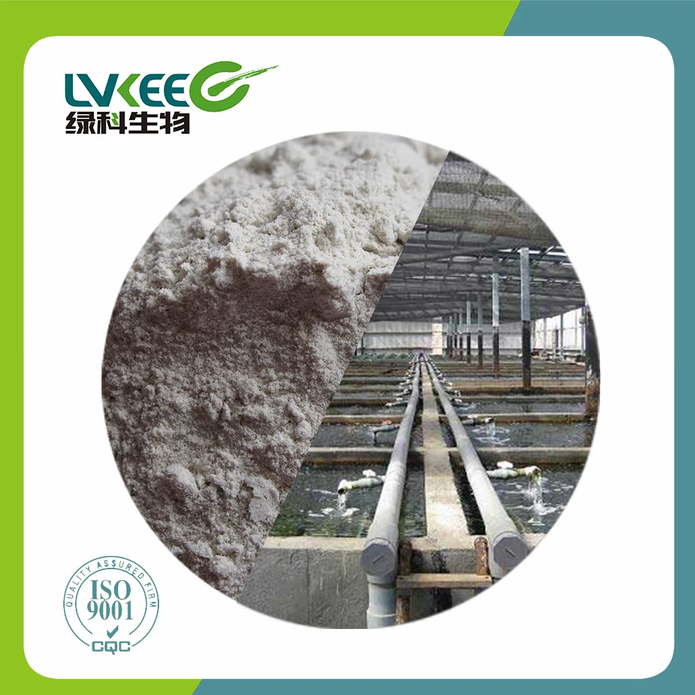 High quality 20 bilion cfu/gBacillus Cereus for freshwater aquaculture