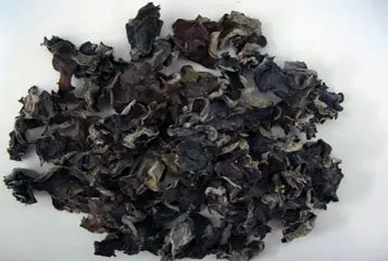 
Black Fungi Mushroom 