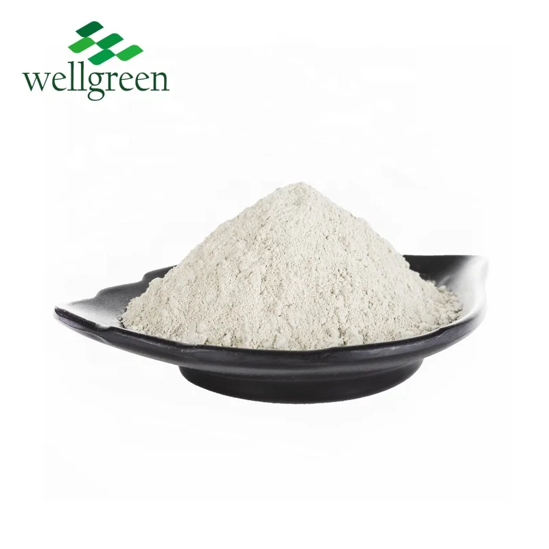 
High Quality Feed Grade Zeolite Clinoptilolite powder Feed Additive for Aquaculture 