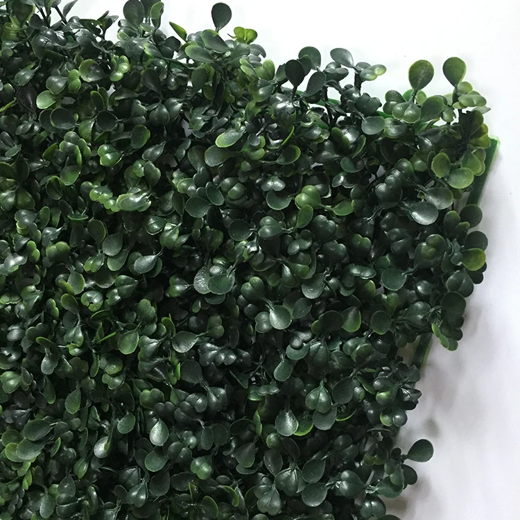 High quality UV resistance 50*50cm green artificial plant wall boxwood hedge for green outdoor wall