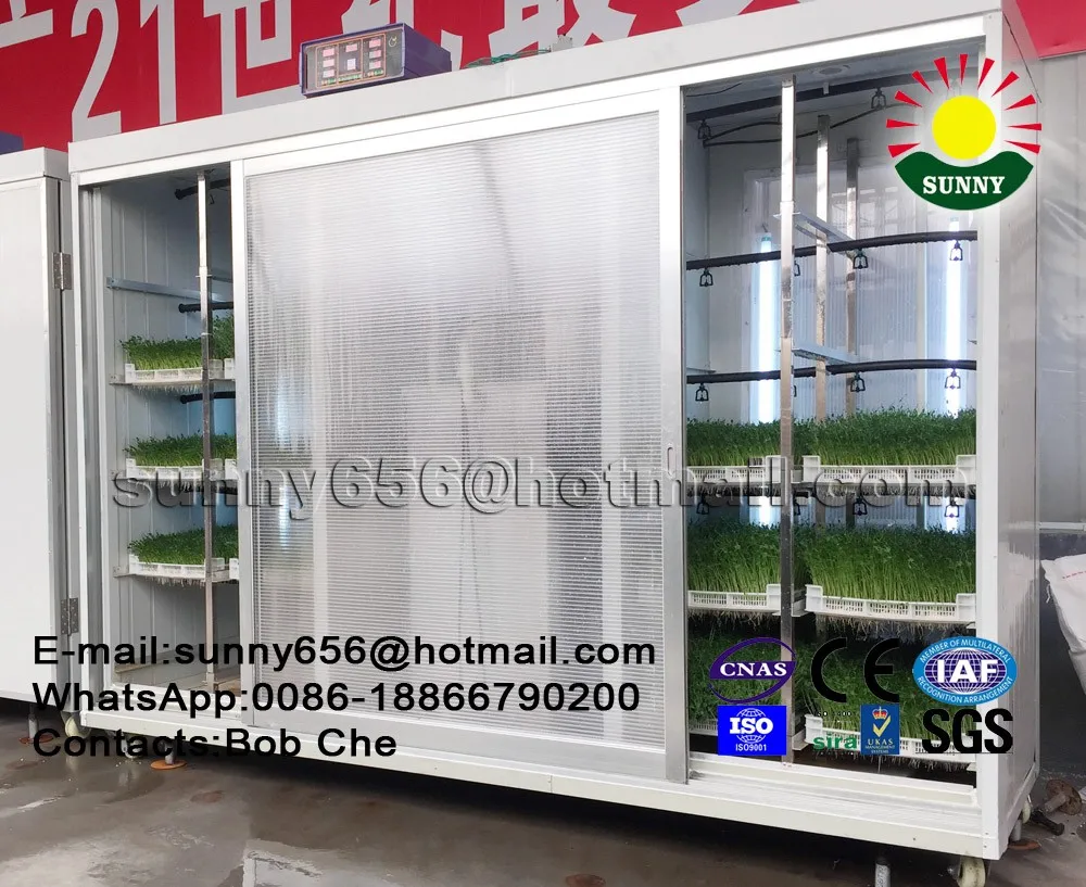 Micro-Computer Control Hydroponic Fodder SystemHydroponic Seeds Sprouting Equipment for Feed Animal,Poultry(Broccoli Raab