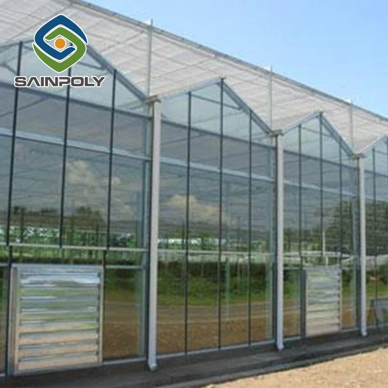 Сельскохозяйственная многопролетная стеклянная теплица для томатов на продажу