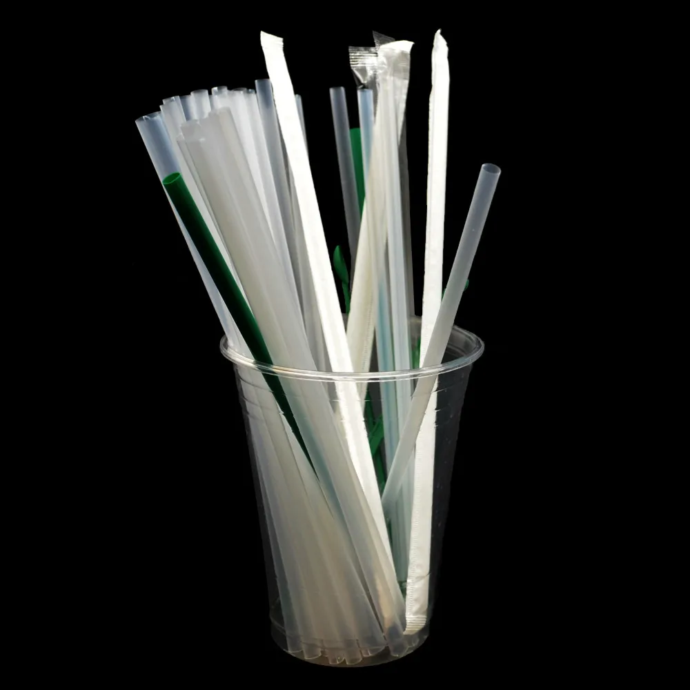 Plant Based PLA 100% Biodegradable Straws Compostable Eco Friendly Straws