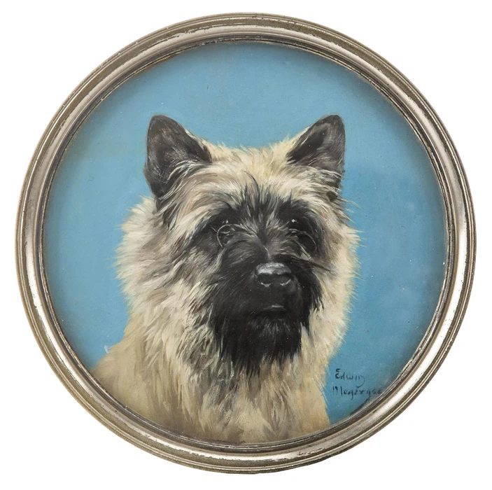 
Placas decorativas animal head wall Farmhouse Decor 