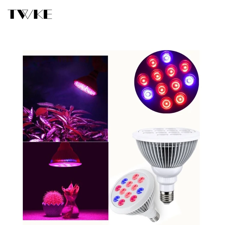 
Par30 12W E27 Red Blue Hydroponic Flower Plant Grow Light 