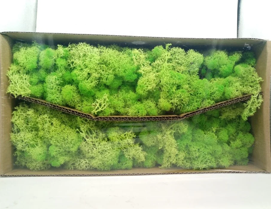 Hot sale vertical artificial natural preserved moss grass wall for shop decor