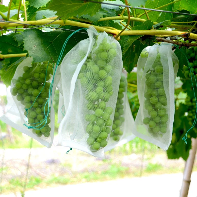 Agriculture fruit net protection bag grape anti insect mesh netting