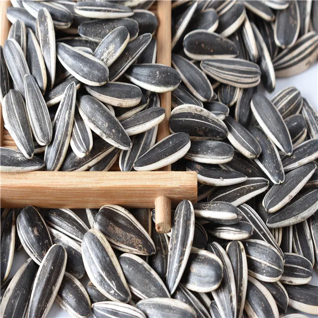 high quality hot sale cheap sunflower seeds for  Human consumption At Best Price