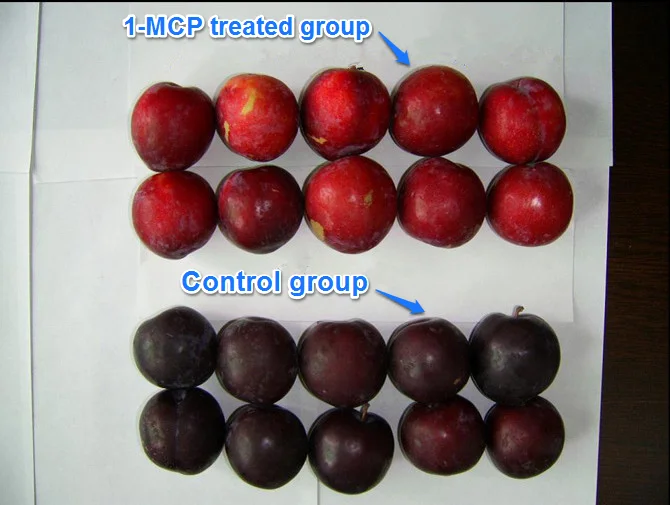 1 Methylcyclopropene 1 MCP For Cold Storage Treatment