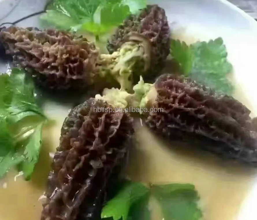 
new season morel mushroom 