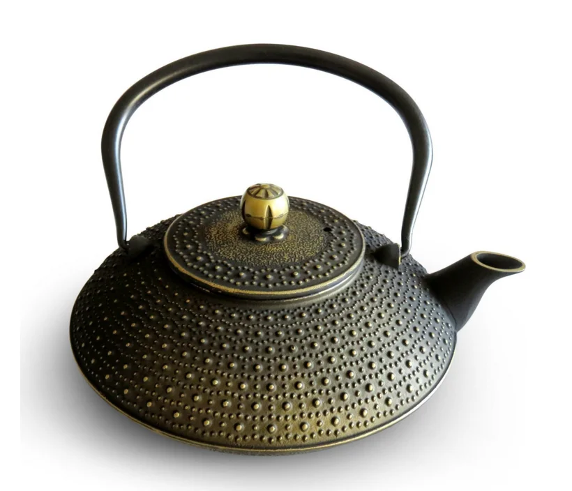 Iwachu Japanese Iron Teapot
