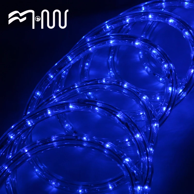 
Insulated festival led double sided strip light LED rope light 5.5m 36led/m 