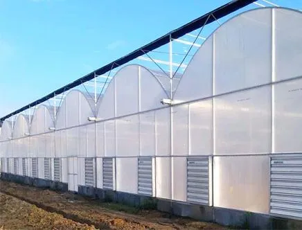 
Low cost high quality hydrophonic greenhouse 
