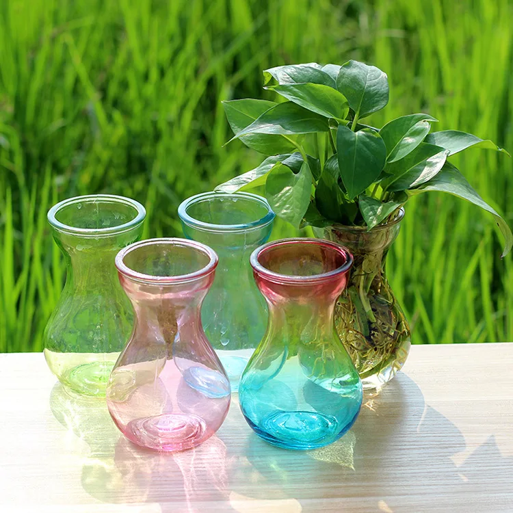 
Hydroponic Vase Home Modern Glass Flower Vase Fashion Decor Glass Jar With Color 