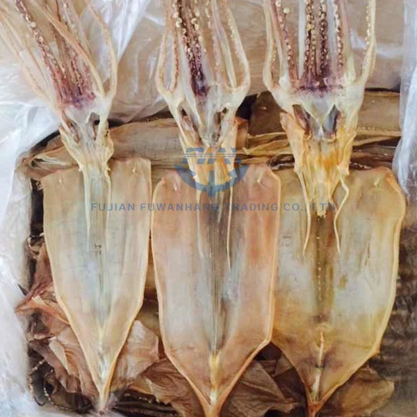 
dried illex squid price 