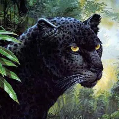 3d picture lenticular 3d animal pictures home decoration 3d poster