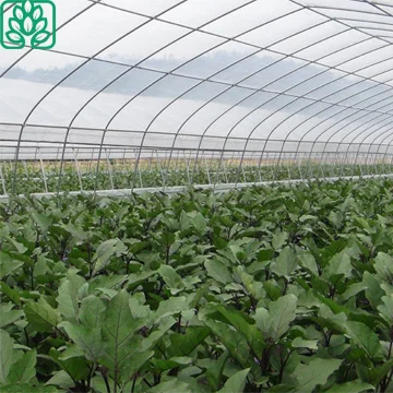 Aquaponics Growing Systems Plastic Film Greenhouse