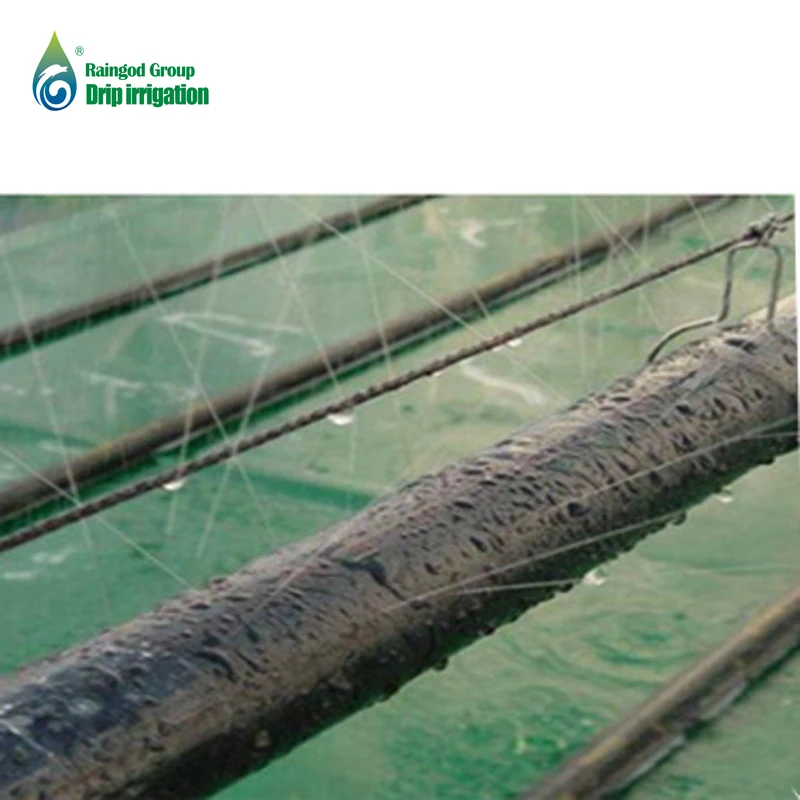 Factory Price Irrigation Tape Micro-spraying Hose Rain Hose Irrigation System