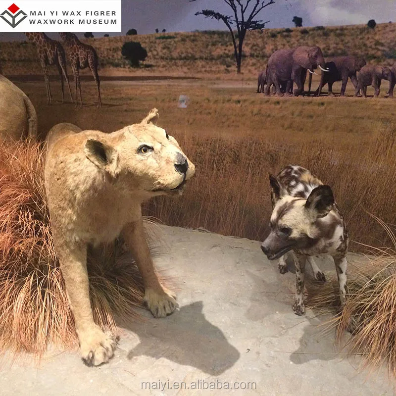 Lifelike Imitation Animal Statue for Exhibition Hall