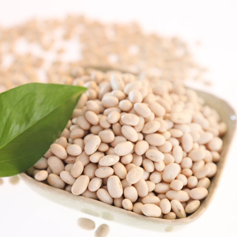 Common cultivation white haricot beans from china