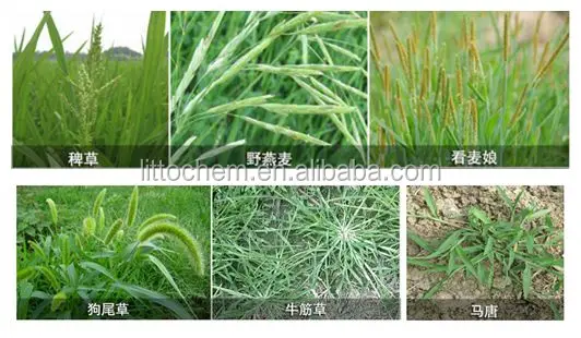 Agrochemical Herbicide weed killer 95%TC Glufosinate ammonium