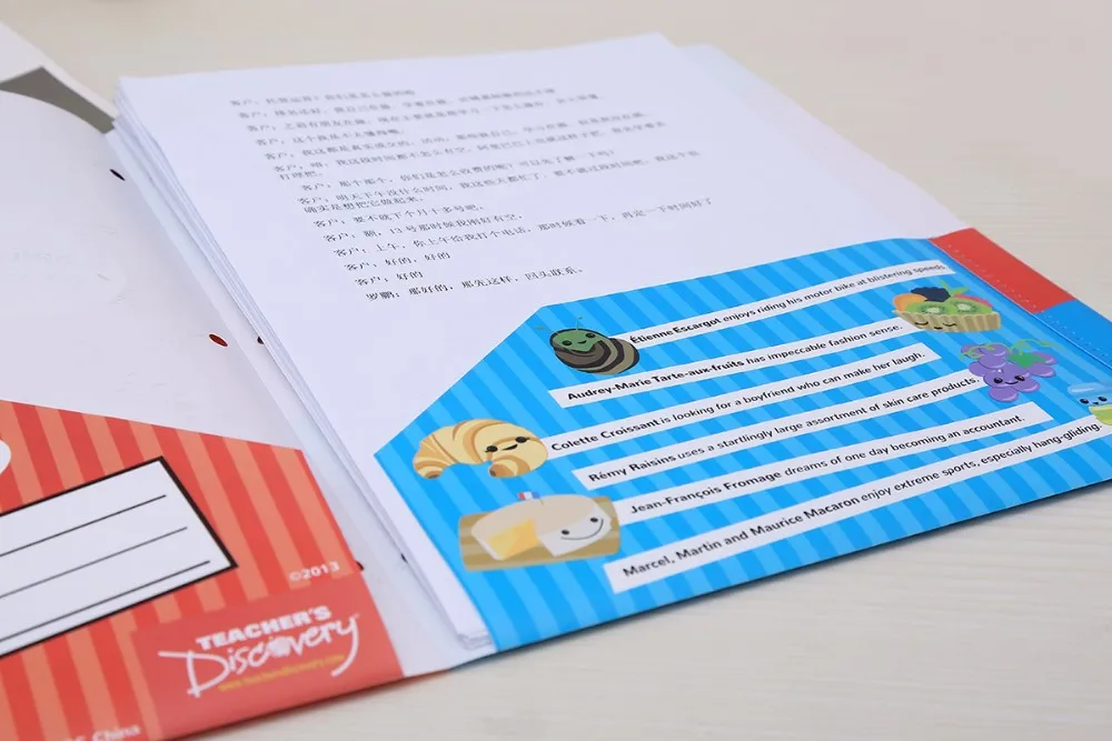 Оптовая продажа, индивидуальный двойной карманный поли-портфель и папка A4/пластиковая прозрачная папка для файлов