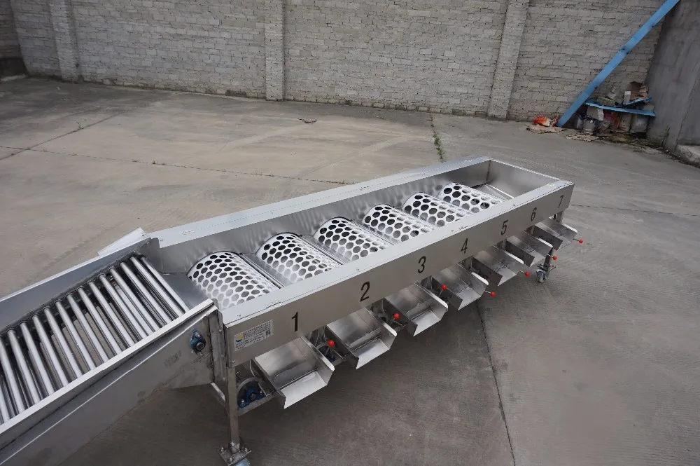 Fruit vegetable sorting machine/potato lemon orange sorter machine for sale