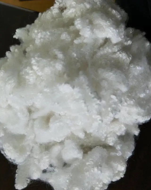 The lowest price Recycled Hollow Conjugated Siliconized Polyester Staple Fiber