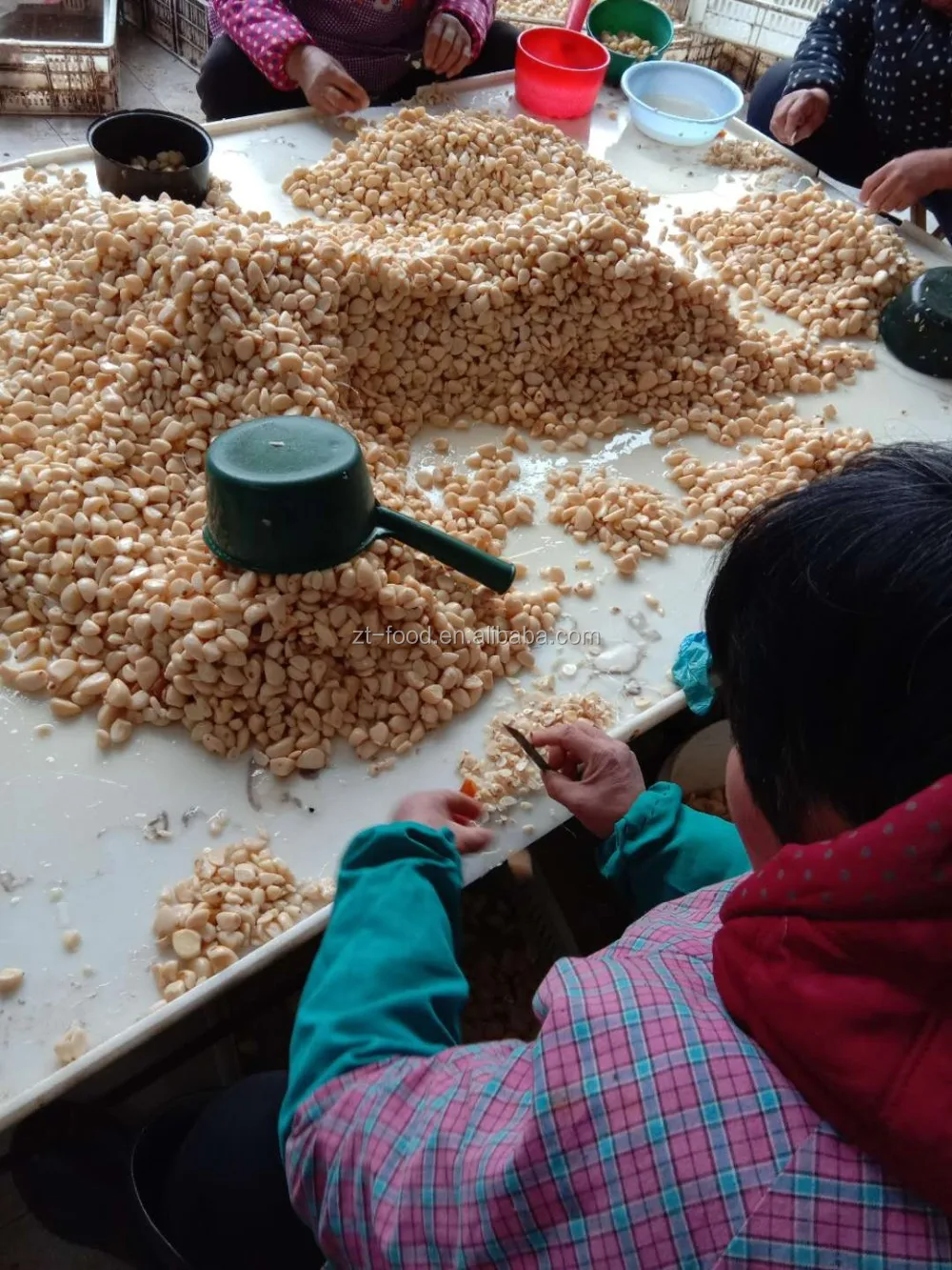 
350-450 pcs/kg Pickled Garlic Cloves In Brine 