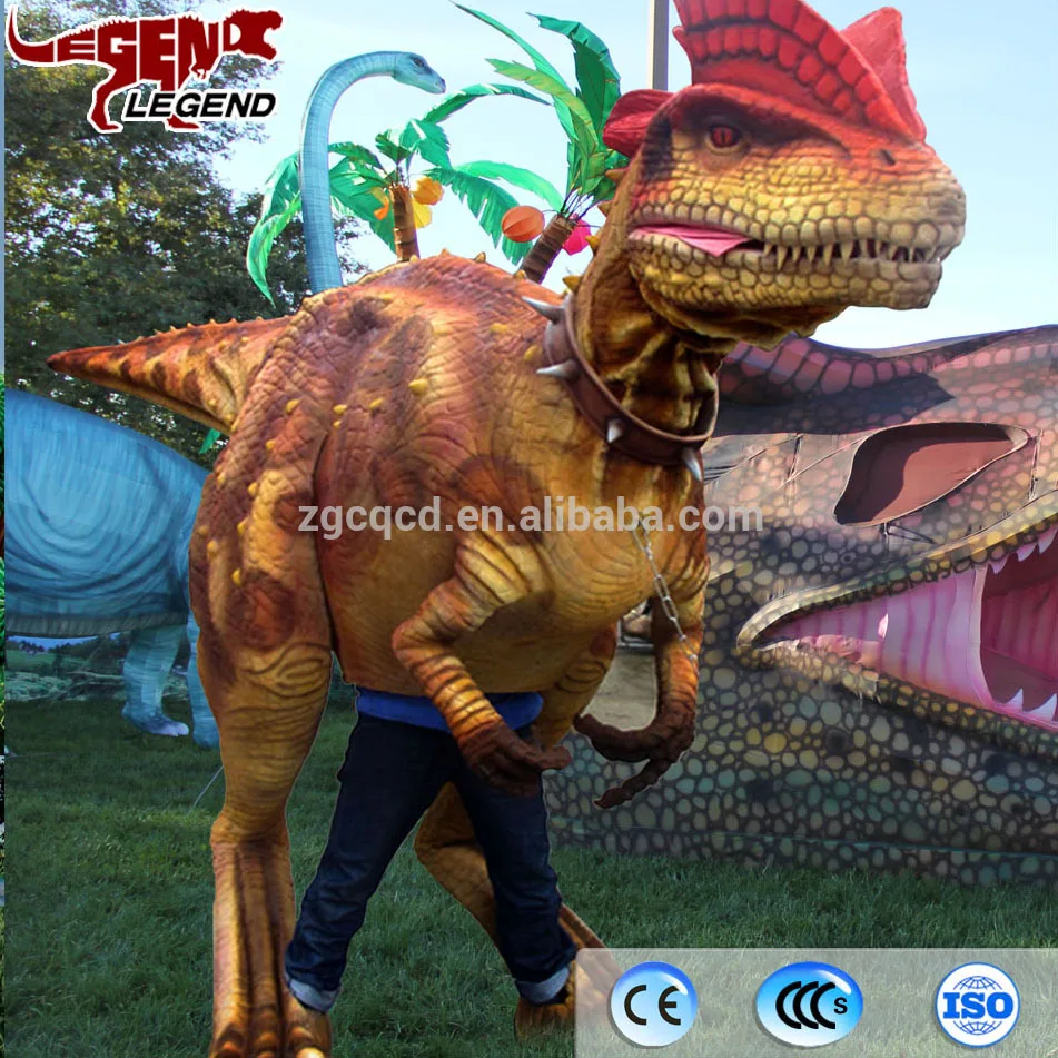 
Indoor dinosaur exhibition animated life size lively dinosaur 