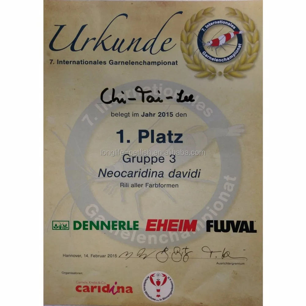 
Hot Selling Tropical Bloody Mary Shrimp 