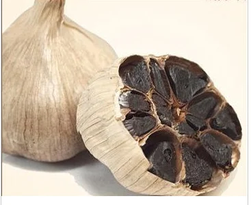 
wholesale organic black garlic with low price in Shandong China 