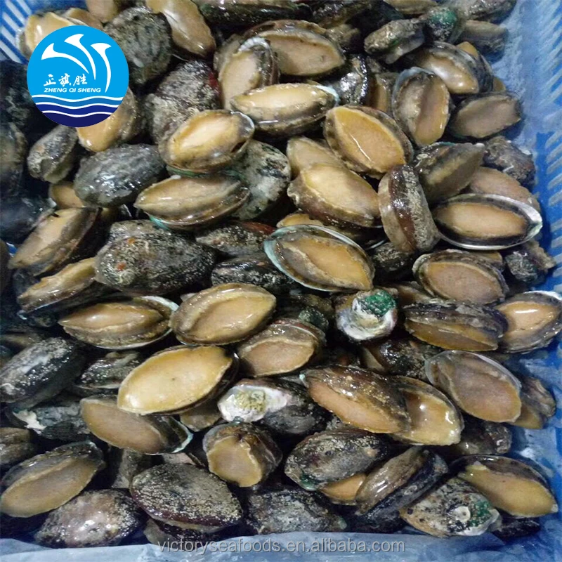  Морская еда замороженный морской
