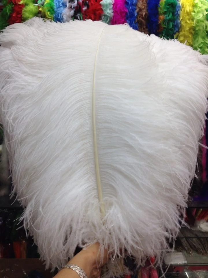 AYFOF--21 75-80cm selected top quality large white ostrich feathers for sale