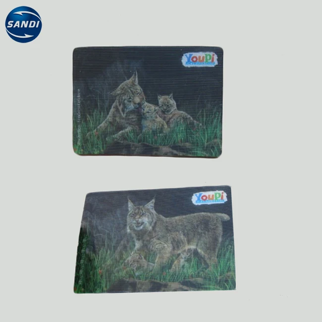 Custom full color printed plastic lenticular 3d fridge magnet