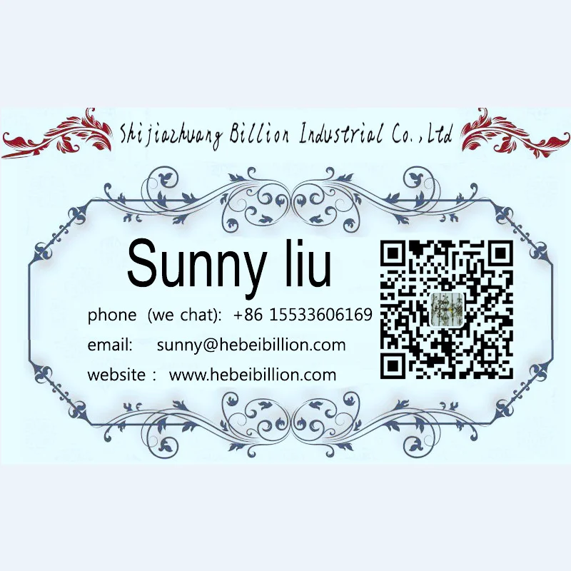 ornamental forged iron window guard