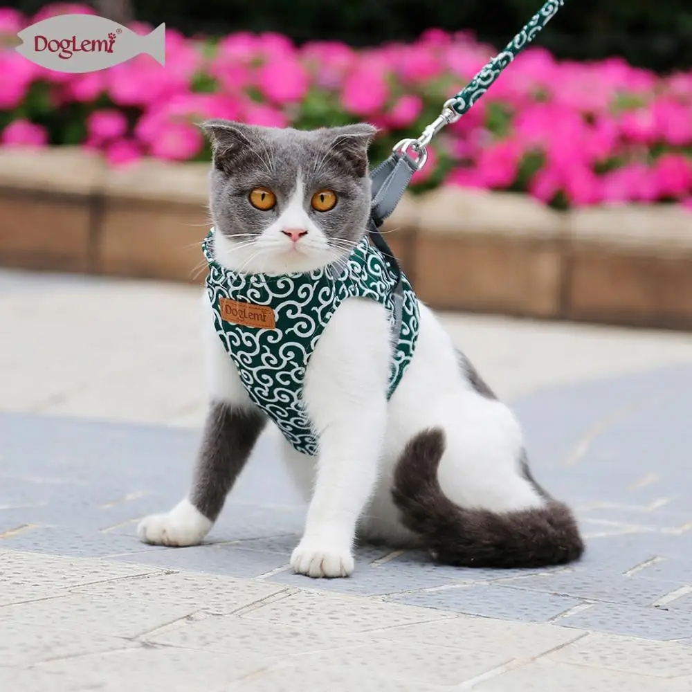 Japanese Flower Design Walking Belt Puppy Dog Cat-Leash Dog Harness Leash Collar