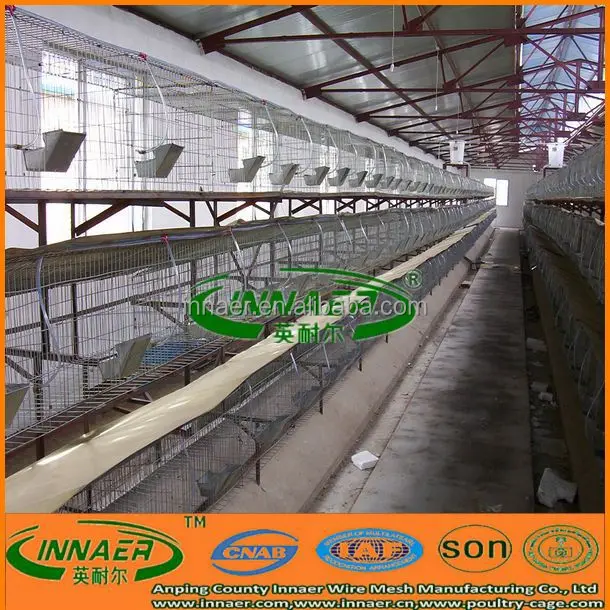 Горячая распродажа кролик флягодержатель производитель для птицефабрика