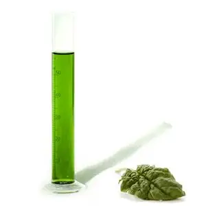 Water Soluble Chlorophyllin Copper Complex Sodium Salt Chlorophyllin