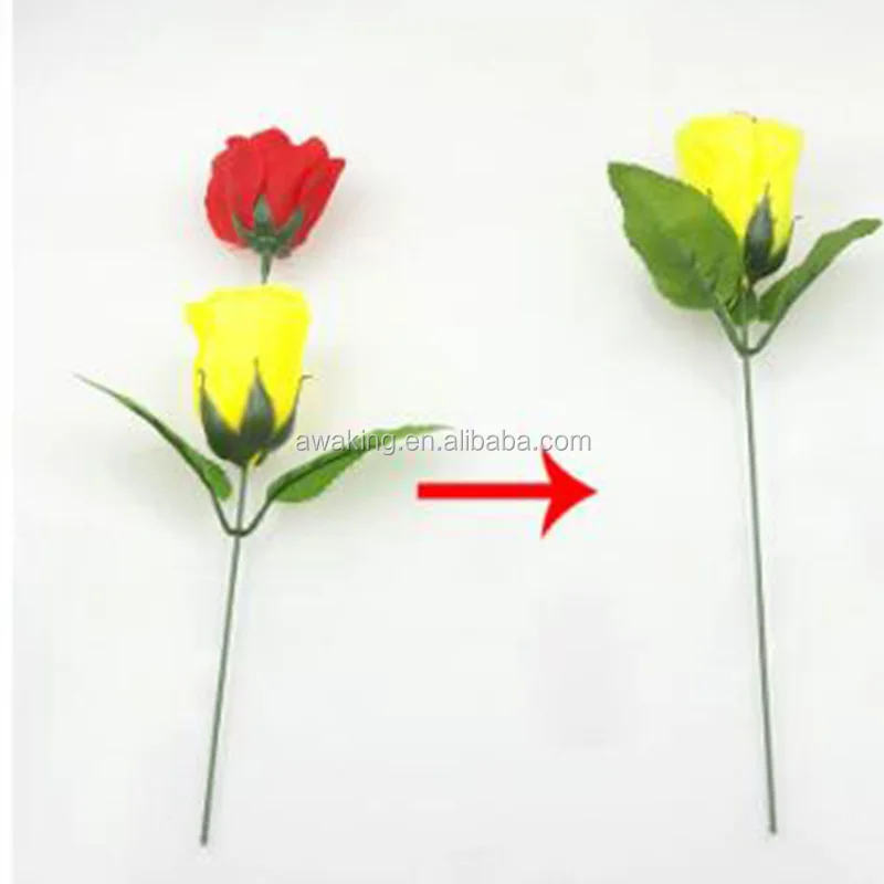 magic trick colour changing rose