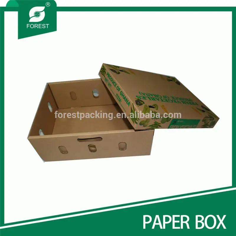 Экологичные овощей и фруктов поле