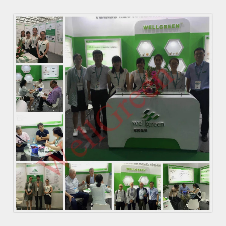 
Pharmaceutical Grade 98% L-Theanine n-ethyl-l-glutamine CAS 3081-61-6 with high quality 