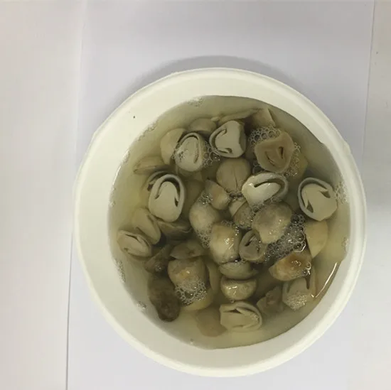 
Best trading business straw mushroom spawn food stuff 
