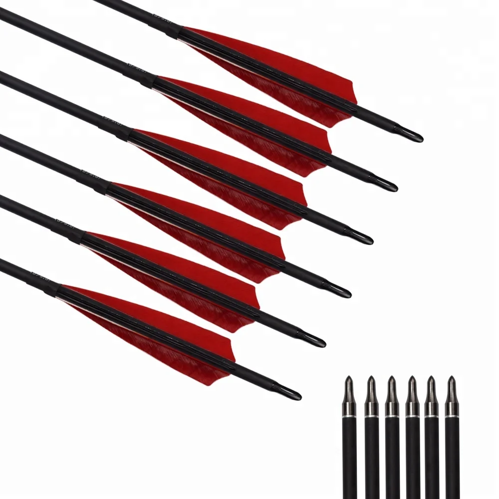 Hunting Arrows Equipment 5' Turkey Feather Target Field Point 30' Roll Fiberglass Arrow for Sale