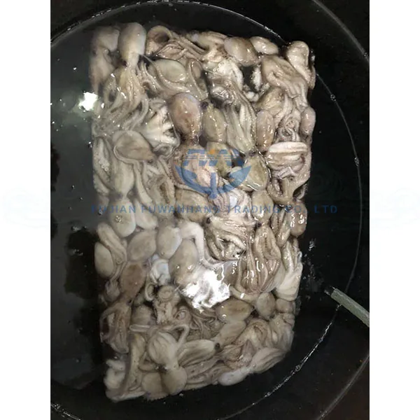
Frozen octopus long leg with cheap price 
