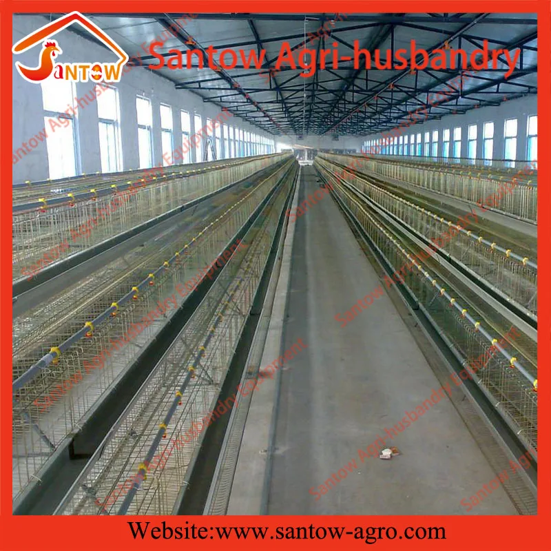 Senegal Battery Chicken House Designed Lowest Price Chicken Layer Cage For Sale( guangzhou Factory )